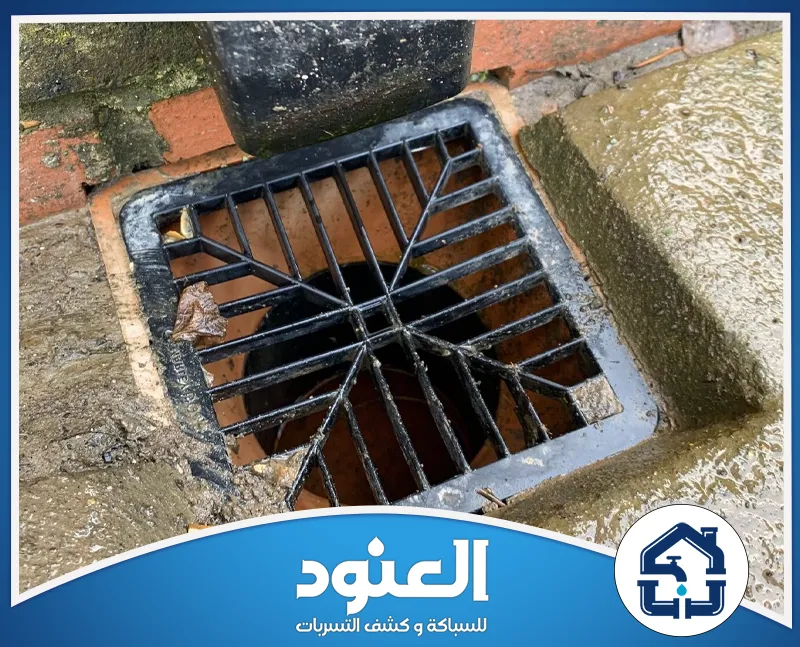 متى أطلب شركة متخصصة؟